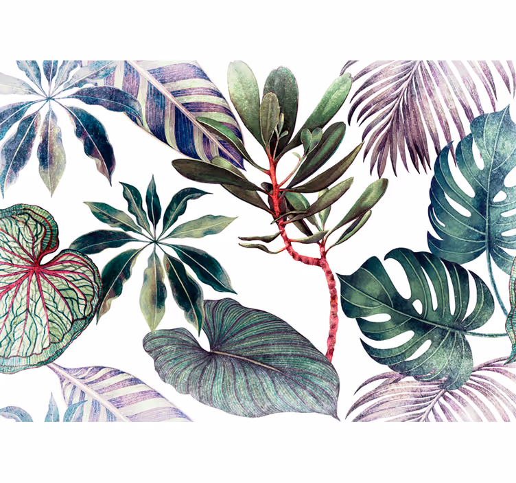 Fototapet natur tropisk bladverk arrangement - Tenstickers