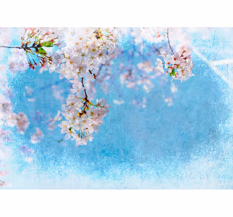 Fred i kirsebærblomsten fototapet blomster - Tenstickers