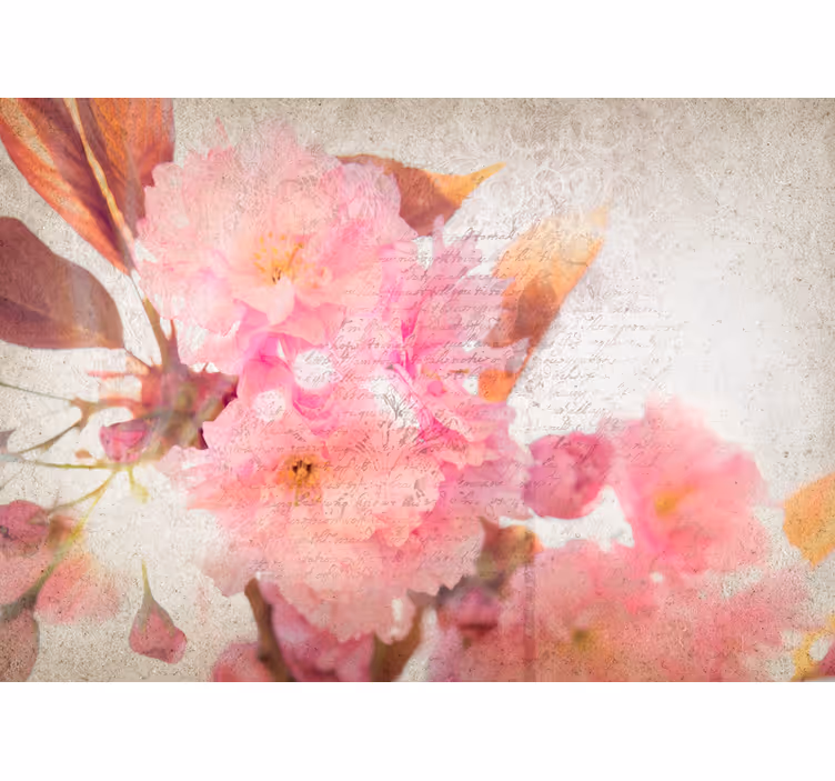 Fototapet blomster kirsebærblomster - Tenstickers