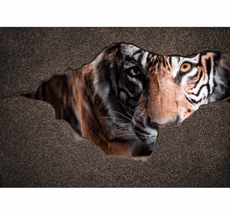 Fototapet dyr tiger nærbilde - Tenstickers
