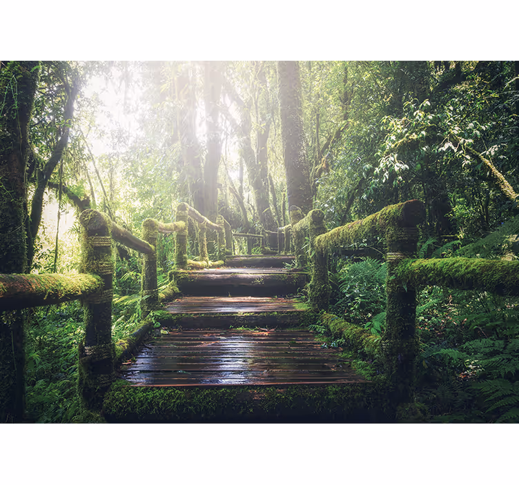 Fototapet natur lush woodland sti - Tenstickers