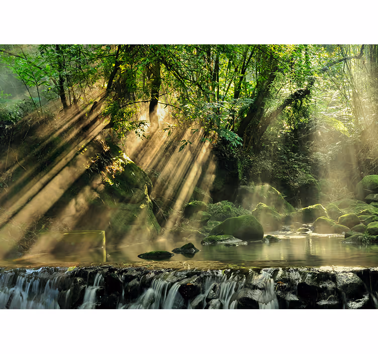 Solbelyst skogbekk fototapet natur - Tenstickers