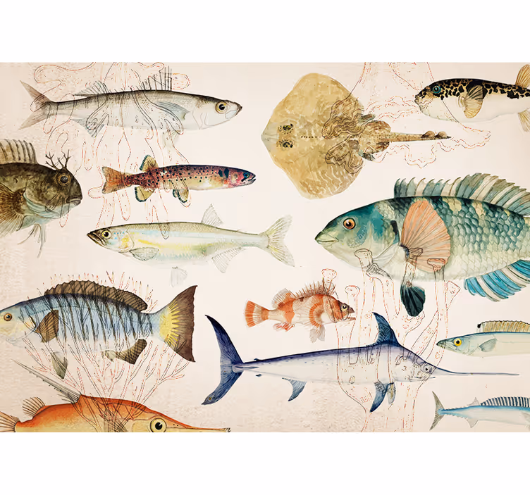 Fototapet dyr marine liv samling - Tenstickers