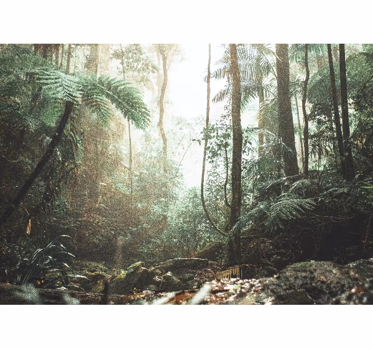 Fototapet skog frodig jungleseremoni - Tenstickers