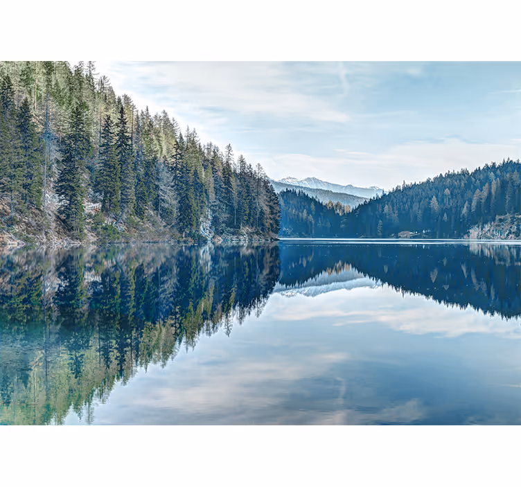 Skog elv fototapet natur - Tenstickers
