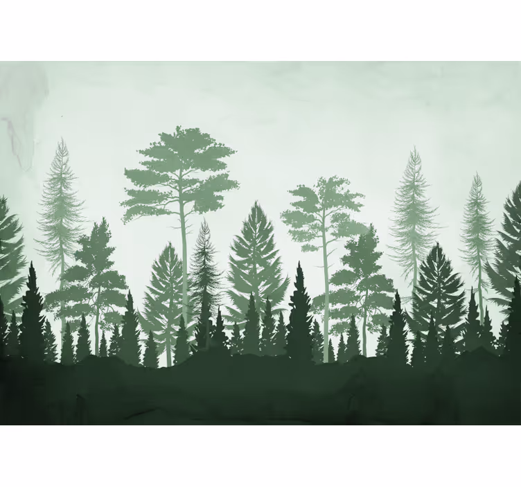 Fototapet skog frodig eviggrønn skog - Tenstickers