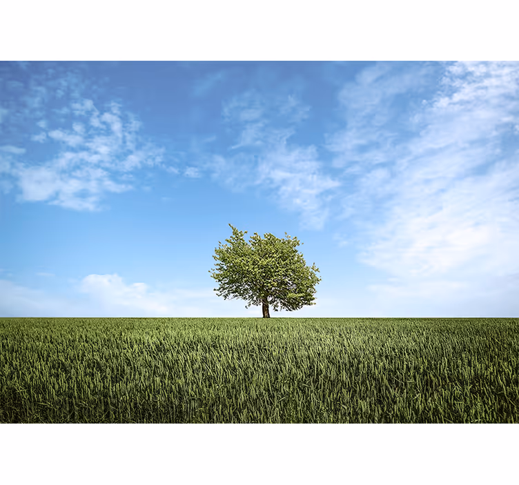 Fototapet natur ensomt tre landskap - Tenstickers