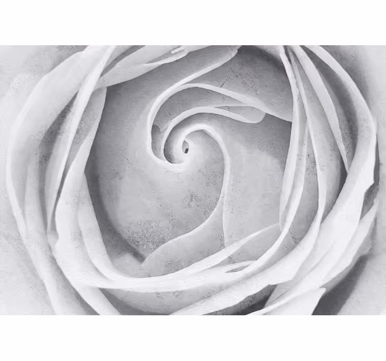 Fototapet blomster elegant rose spiral - Tenstickers