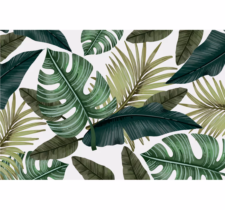 Grønne monstera blader hvit bakgrunn fototapet stue - Tenstickers