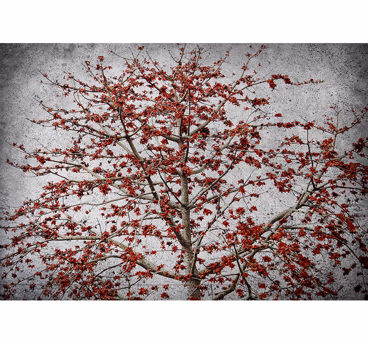 Minimalistisk tre med røde blomster fototapet natur - Tenstickers