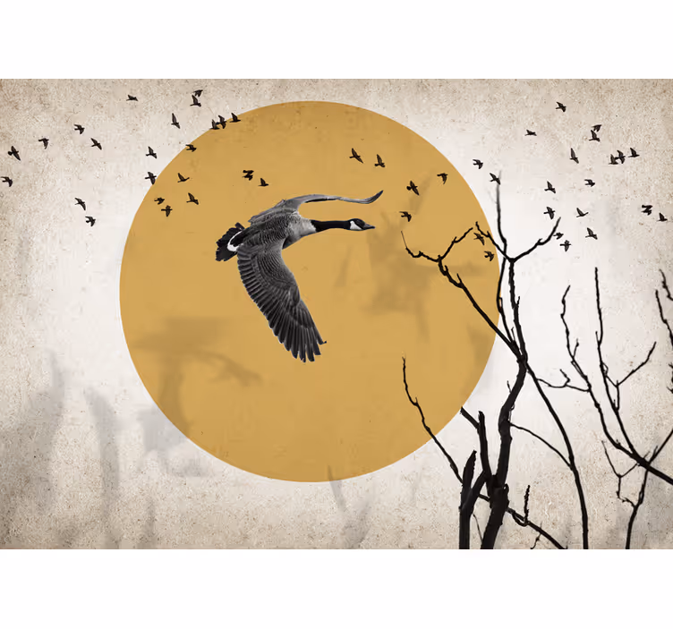 Fototapet dyr flying goose silhuett - Tenstickers