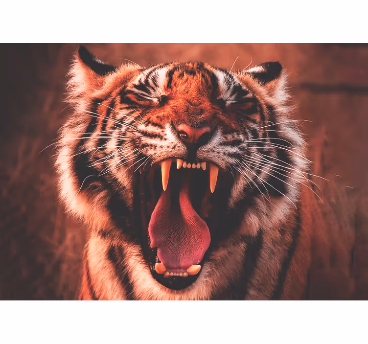 Fantastisk tiger som våkner fototapet dyr - Tenstickers