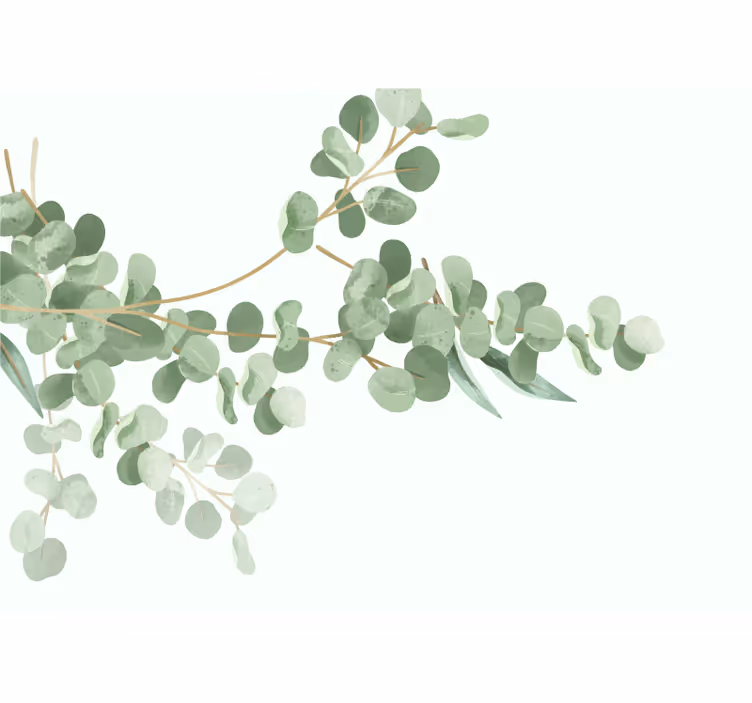 Fototapet blomster eukalyptusblad arrangement - Tenstickers