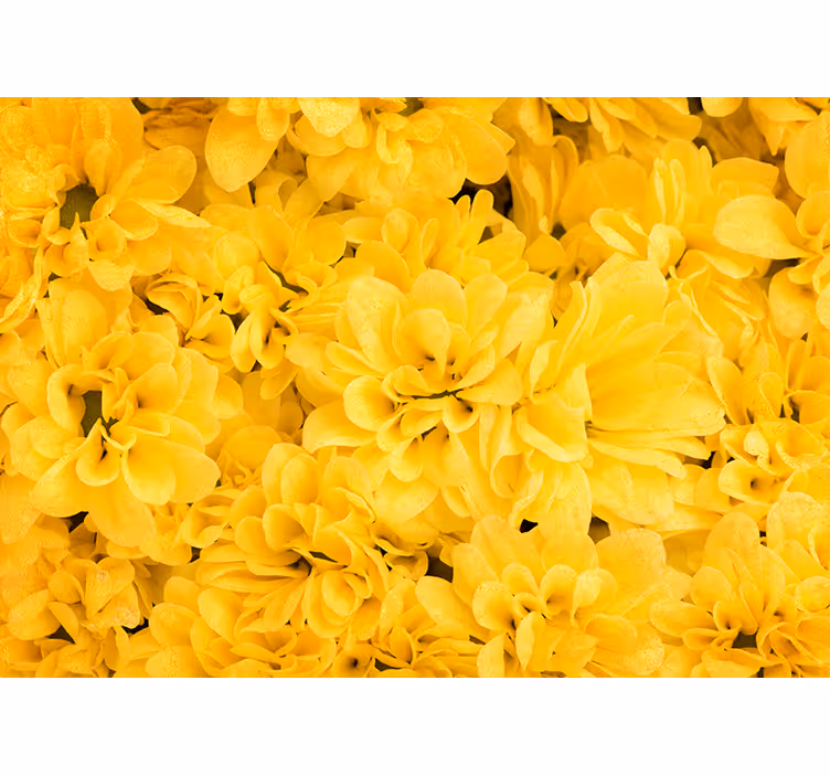 Blomsterblader fototapet gul - Tenstickers