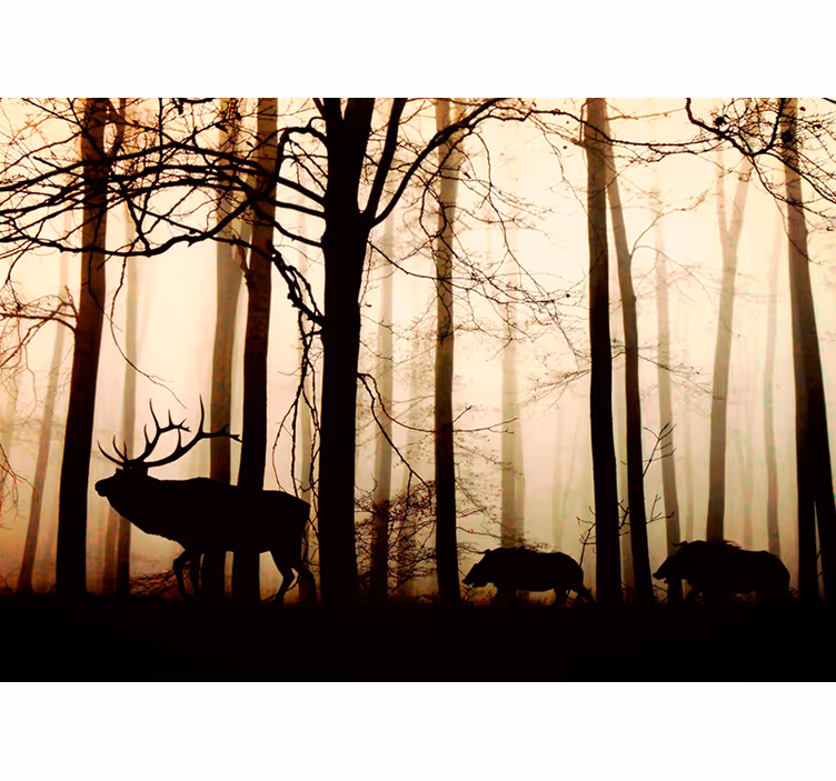 Silhuett skogfauna fototapet natur - Tenstickers