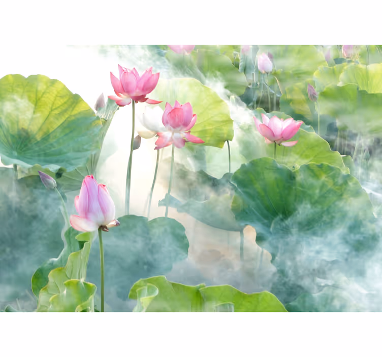 Fredelige lotusblomster fototapet blomster - Tenstickers