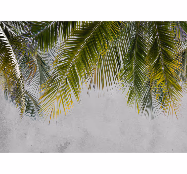 Palm blader henger fototapet stue - Tenstickers