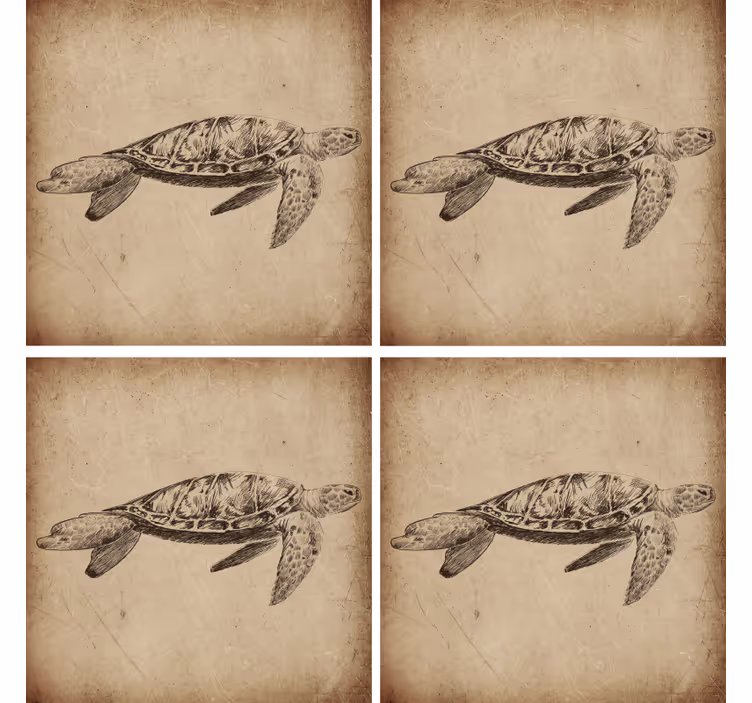 Skilpadde, illustrasjon, vintage coaster - Tenstickers