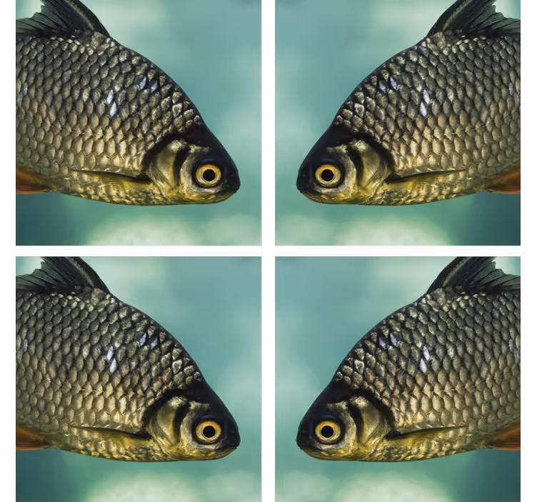 Realistiske fiskemotiver underlag nerdete - Tenstickers