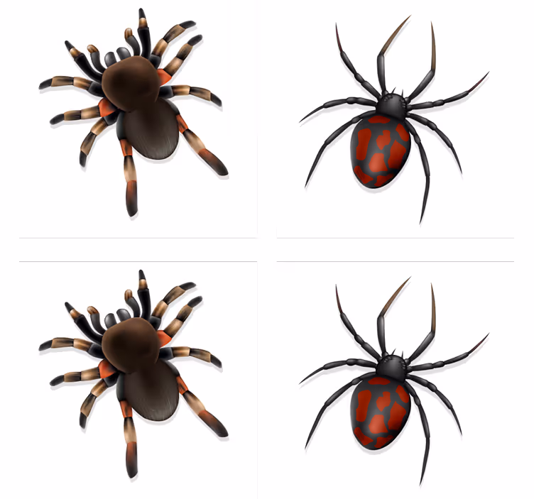Realistisk edderkopp halloween-dalbane - Tenstickers