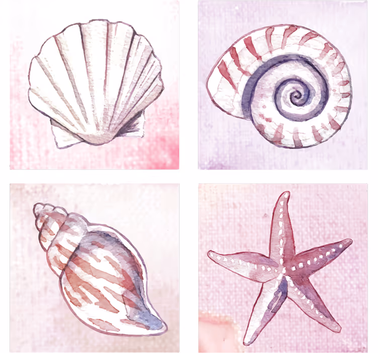 Underlag natural shell vannfarger - Tenstickers