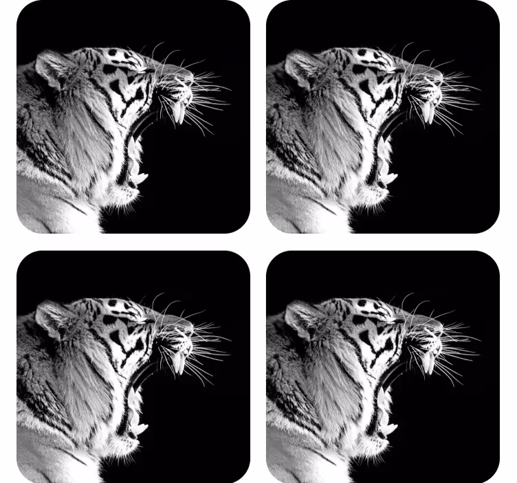 Hvit tiger moderne coasters - Tenstickers