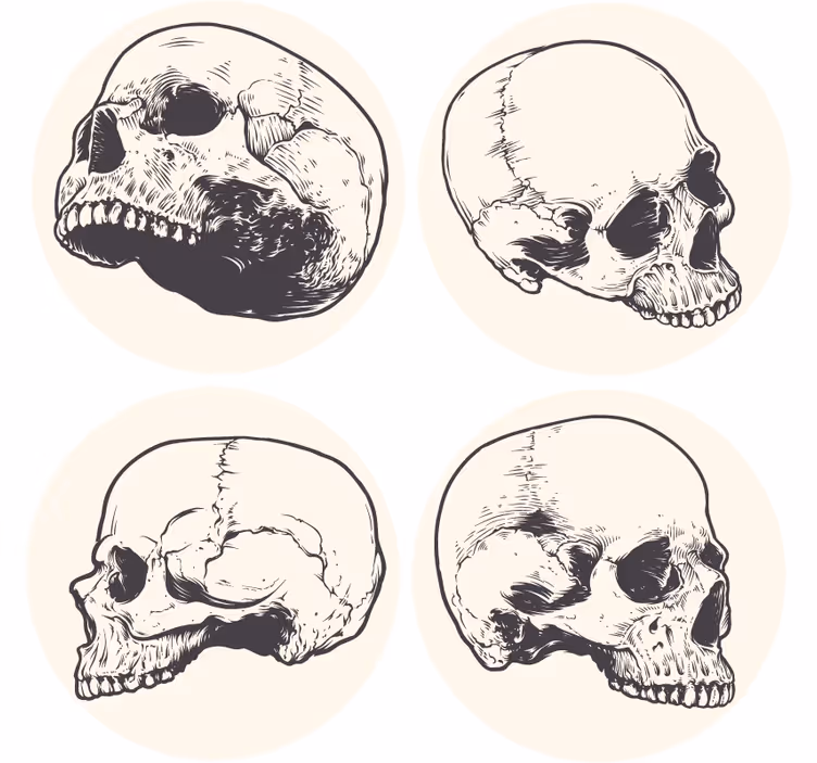 Hodeskalle, tegning, halloween, coasters - Tenstickers