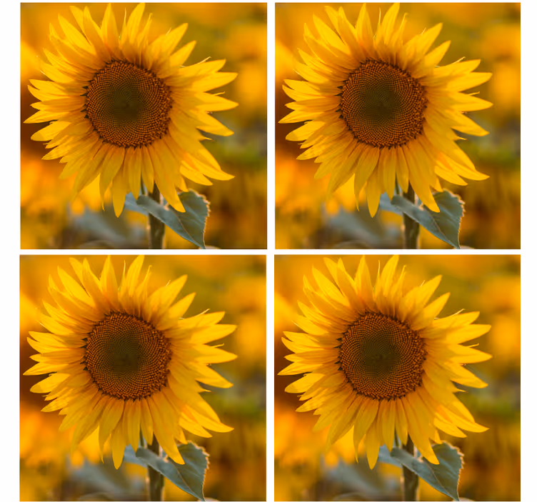 Moderne underlag solfylt blomsterarrangement - Tenstickers