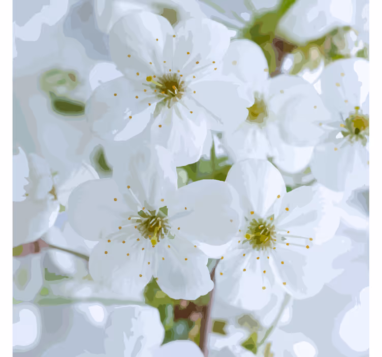 Underlag med delikate kirsebærblomster - Tenstickers
