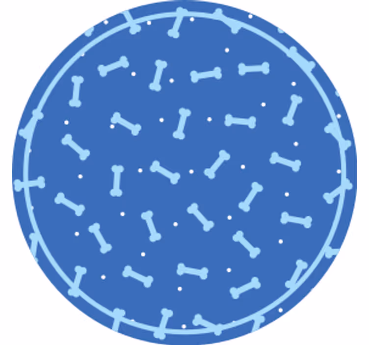 Underlag med benmønster sirkel - Tenstickers