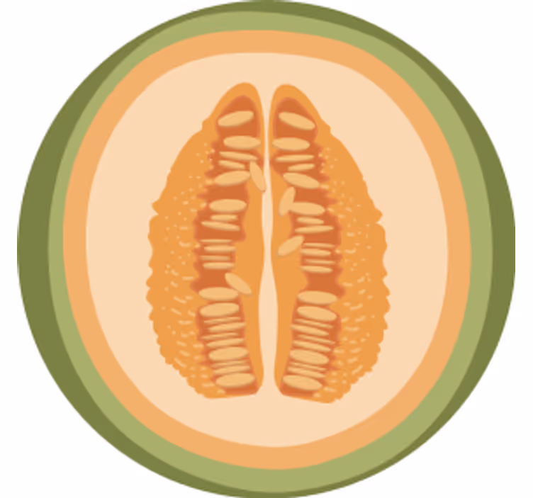 Fruit slice motiver underlag nerdete - Tenstickers