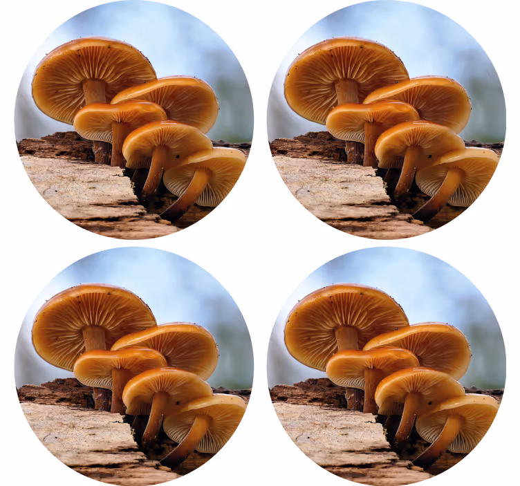 Underlag moderne sopphaug arrangement - Tenstickers