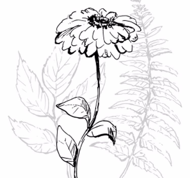 Botanisk linjekunst underlag - Tenstickers