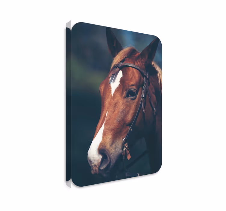 Heste lerretsbilde hode av hest - Tenstickers