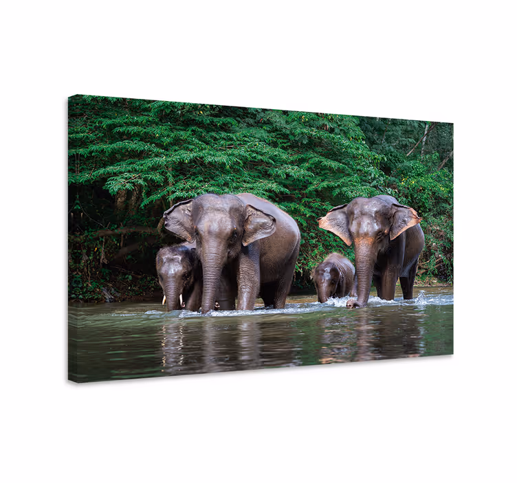 Elefant lerretsbilde med jungeldyr - Tenstickers