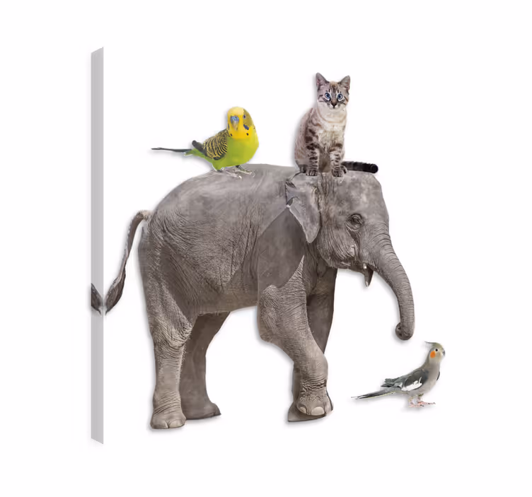 Elefant lerretsbilde med ulike dyr - Tenstickers