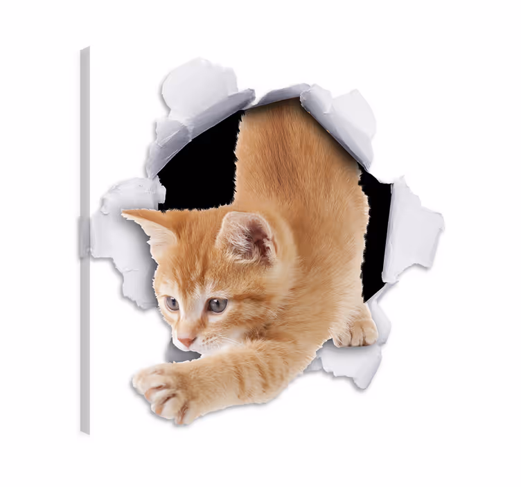 Katte lerretsbilde dekorativt kattetrikset - Tenstickers