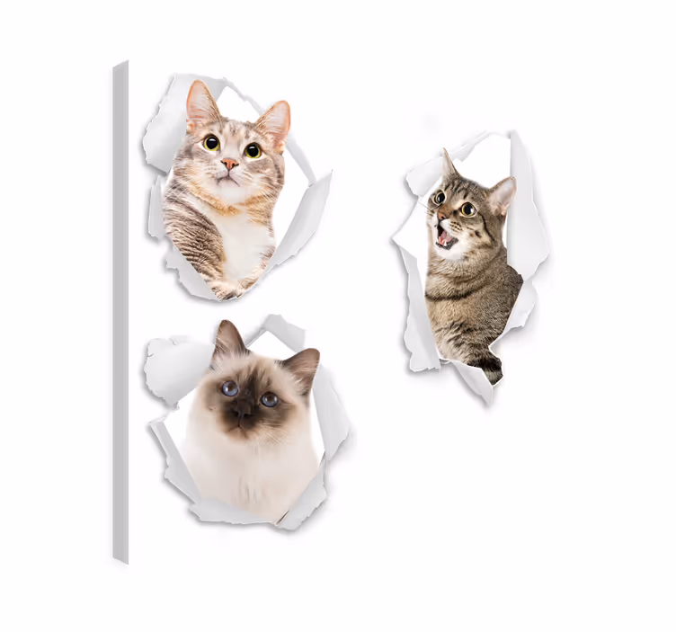 Katte lerretsbilde kattunger trampantojo - Tenstickers