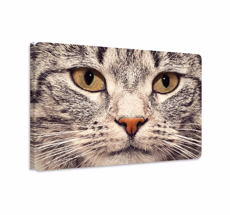Katte lerretsbilde med katteansikt laptop klistremerke - Tenstickers