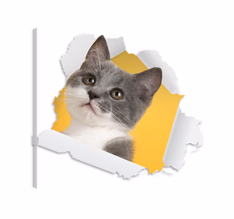 Katte lerretsbilde 3d katte klistremerke - Tenstickers