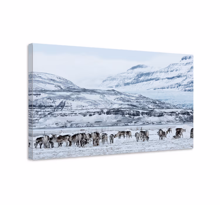 Hjort snøhvit landskap hjort lerret - Tenstickers