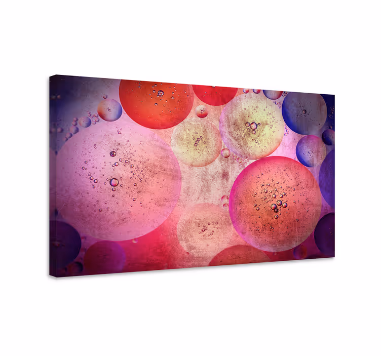 Rosa moderne sirkler med farger lerretsbilde geometrisk - Tenstickers