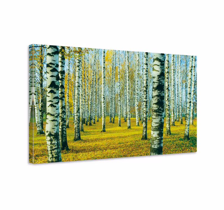 Birk forest lerret bilder for stue - Tenstickers