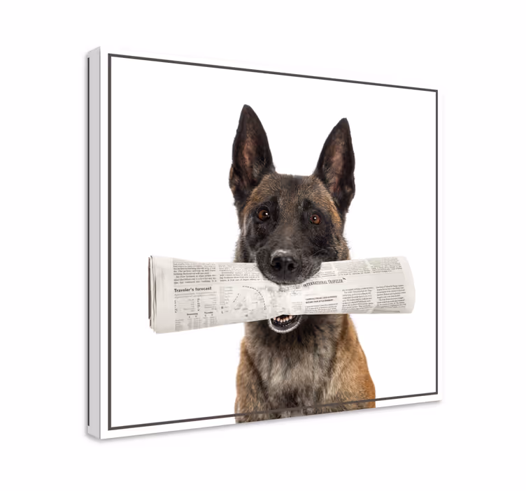 Hunde lerretsbilde med hund som bærer avis - Tenstickers