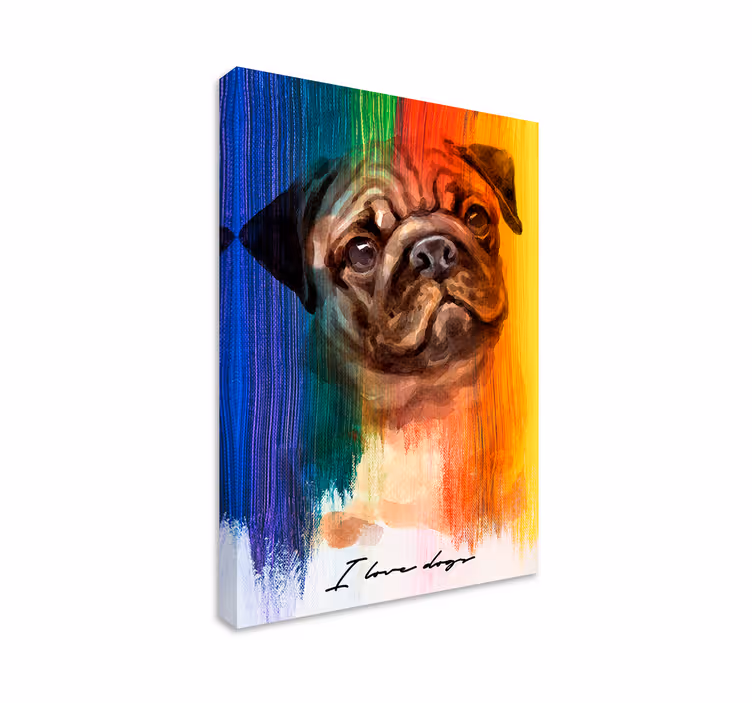 Regnbue mops lerretsbilde hunder - Tenstickers