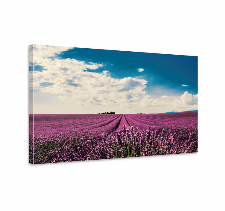 Blomst lerretsbilde lavendelmark landskap - Tenstickers
