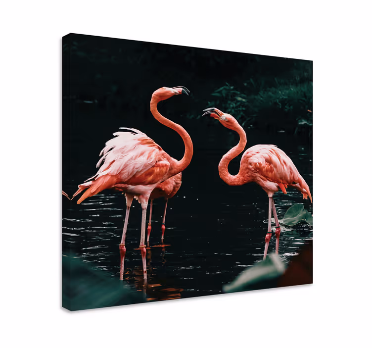 Flamingoer ved skumring fugle lerretsbilde - Tenstickers