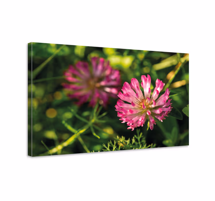 Blomst lerretsbilde rosa blomsterklase - Tenstickers