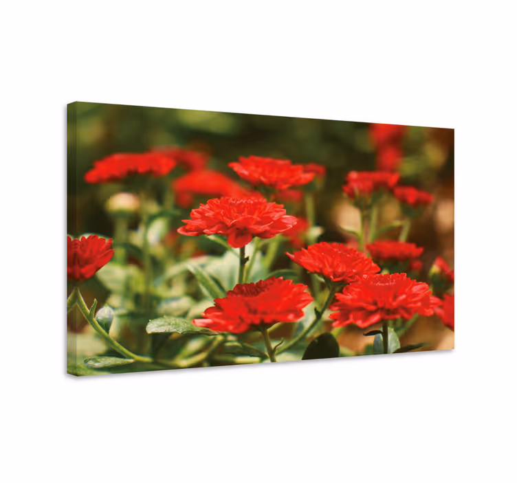 Røde blomster i blomst lerretsbilde - Tenstickers
