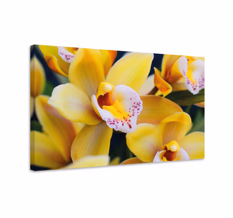 Blomst lerretsbilde med levende orkidéblomster - Tenstickers